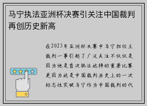 马宁执法亚洲杯决赛引关注中国裁判再创历史新高
